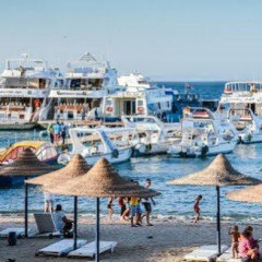Отель Alia Beach Resort Египет, Хургада - отзывы, цены и фото номеров - забронировать отель Alia Beach Resort онлайн пляж фото 2