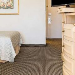 Days Inn by Wyndham Modesto in Modesto, United States of America from 132$, photos, reviews - zenhotels.com guestroom photo 4