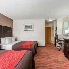 Отель Comfort Inn Los Angeles near Hollywood США, Лос-Анджелес - отзывы, цены и фото номеров - забронировать отель Comfort Inn Los Angeles near Hollywood онлайн