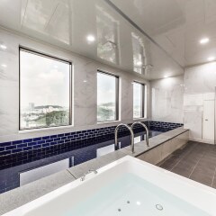 CS Premier Hotel Seoul спа