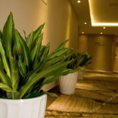 Отель Xiamen Dongfang Mingdian Hotel Китай, Сямынь - отзывы, цены и фото номеров - забронировать отель Xiamen Dongfang Mingdian Hotel онлайн спа фото 2
