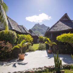 Отель Oa Oa Lodge Французская Полинезия, Бора-Бора - отзывы, цены и фото номеров - забронировать отель Oa Oa Lodge онлайн фото 8