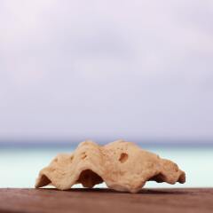 Отель Beachwood at Maafushi Island Maldives фитнесс-зал