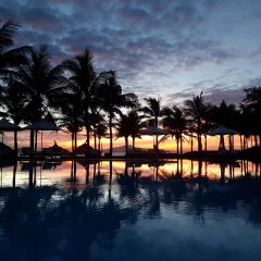 Отель Agribank Hoi An Beach Resort с домашними животными