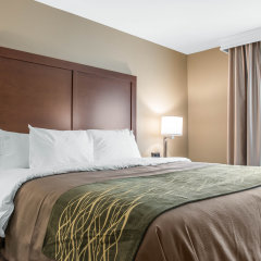 Comfort Inn and Suites in Pittsburgh, United States of America from 146$, photos, reviews - zenhotels.com guestroom photo 3