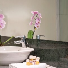 Arion Athens Hotel Афины ванная