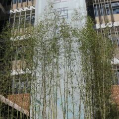 Отель H Life Hotel Китай, Шэньчжэнь - отзывы, цены и фото номеров - забронировать отель H Life Hotel онлайн балкон