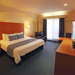 Отель Flamingo Inn комната для гостей фото 5