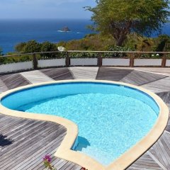 Villa Taniko in Gustavia, St Barthelemy from 5324$, photos, reviews - zenhotels.com pool