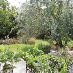 Kumbag Green Garden Pansiyon Турция, Текирдаг - отзывы, цены и фото номеров - забронировать отель Kumbag Green Garden Pansiyon онлайн фото 20
