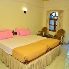 Отель My Soulmate, Palolem Beach Индия, Южный Гоа - отзывы, цены и фото номеров - забронировать отель My Soulmate, Palolem Beach онлайн комната для гостей фото 2