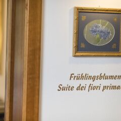 Romantik Hotel Stafler Кампо-ди-Тренс интерьер отеля фото 3