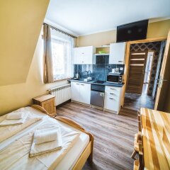 Отель Pokoje i Apartamenty Nad Potokiem Закопане в номере