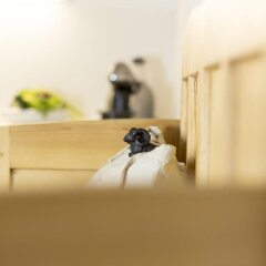 Hotel Schwarzer Widder Силандро с домашними животными
