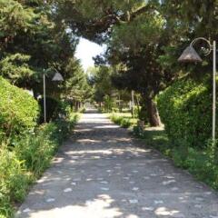Отель Tropikal Resort Албания, Дуррес - отзывы, цены и фото номеров - забронировать отель Tropikal Resort онлайн фото 3