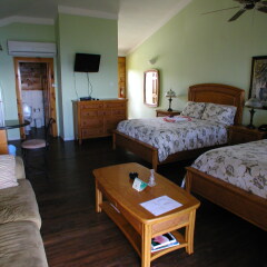 Отель The Westender Inn комната для гостей фото 3