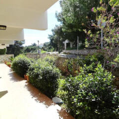 Dionysos Hotel фото 3