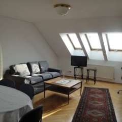 Апартаменты Living Vienna Apartment Вена комната для гостей фото 2