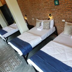 Paddys Hostel комната для гостей фото 2