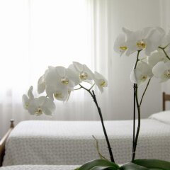 Отель Albergo San Raffaele Италия, Виченца - отзывы, цены и фото номеров - забронировать отель Albergo San Raffaele онлайн спа