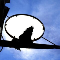 Отель Altstadthotel Wolf Зальцбург спортивное сооружение