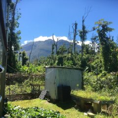 House With 3 Bedrooms in Layou Valley Road, With Wonderful sea View and Furnished Garden - 25 km From the Beach in Massacre, Dominica from 232$, photos, reviews - zenhotels.com photo 10