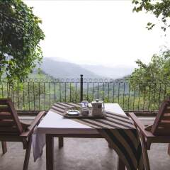 Отель Ella Jungle Inn бассейн