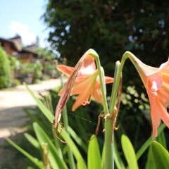 Отель Coco Lanta Resort Ланта детские мероприятия фото 2