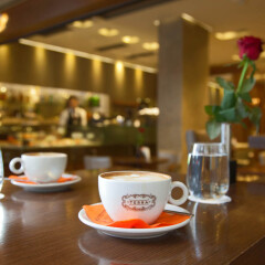Electra Hotel Athens гостиничный бар