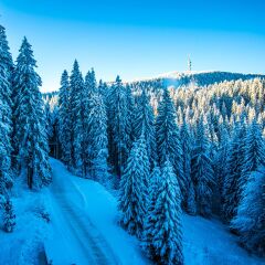 Отель Sunny Hills Ski Пампорово приотельная территория
