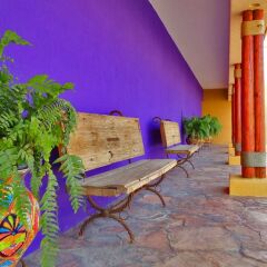 Отель Los Patios Hotel Мексика, Кабо-Сан-Лукас - отзывы, цены и фото номеров - забронировать отель Los Patios Hotel онлайн фото 4