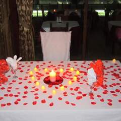 Vivas Hotel