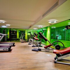 Отель Sofitel Lyon Bellecour Франция, Лион - 2 отзыва об отеле, цены и фото номеров - забронировать отель Sofitel Lyon Bellecour онлайн фитнесс-зал
