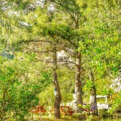 Гостевой Дом Dionysos Lodge Кемер фото 2