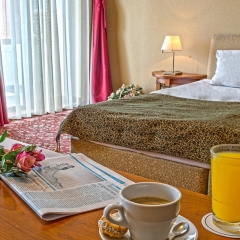 Grand Hotel Bansko Банско в номере