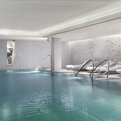 Отель The Ritz Carlton Vienna Вена бассейн фото 3
