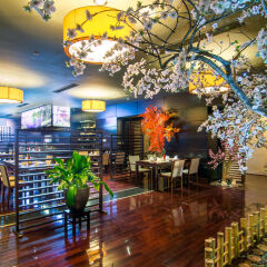 Royal Lotus Hotel Halong развлечения