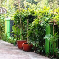 Отель Angkor Une Fois Home Stay фото 17