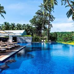 Отель Novotel Goa Resort and Spa Индия, Гоа - отзывы, цены и фото номеров - забронировать отель Novotel Goa Resort and Spa онлайн бассейн