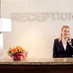Lion Hotel интерьер отеля фото 3