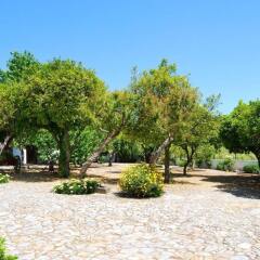 Отель Quinta De Tourais Португалия, Ламего - отзывы, цены и фото номеров - забронировать отель Quinta De Tourais онлайн фото 14