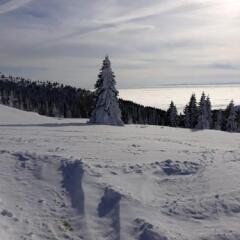 Apartments Vila Marina in Kopaonik, Serbia from 57$, photos, reviews - zenhotels.com photo 5