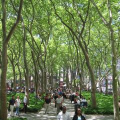Отель Bryant Park Hotel США, Нью-Йорк - отзывы, цены и фото номеров - забронировать отель Bryant Park Hotel онлайн приотельная территория