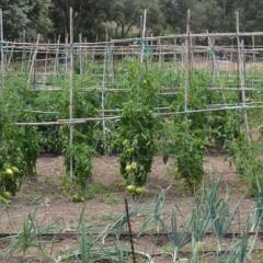 Отель Finca Son Samà фото 18