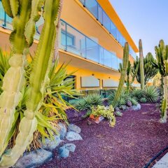 Отель SBH Club Paraíso Playa - All Inclusive Испания, Эскинсо - отзывы, цены и фото номеров - забронировать отель SBH Club Paraíso Playa - All Inclusive онлайн фото 3