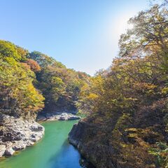 Kinugawa Kanaya Hotel Никко приотельная территория фото 2