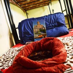 My Hostel Тбилиси с домашними животными