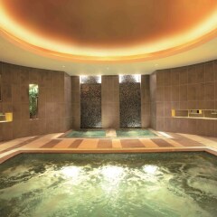 Отель Swissotel Grand Shanghai бассейн фото 3