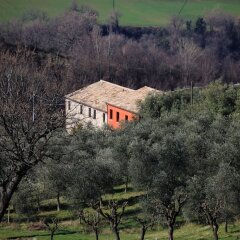 Отель Agriturismo Segnavento - Zaccagnini Италия, Стаффоло - отзывы, цены и фото номеров - забронировать отель Agriturismo Segnavento - Zaccagnini онлайн спортивное сооружение