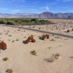 Отель Borrego Springs Resort and Spa пляж